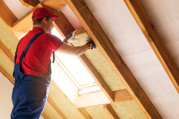 Best Attic Insulation Installation  in Palm Springs, CA